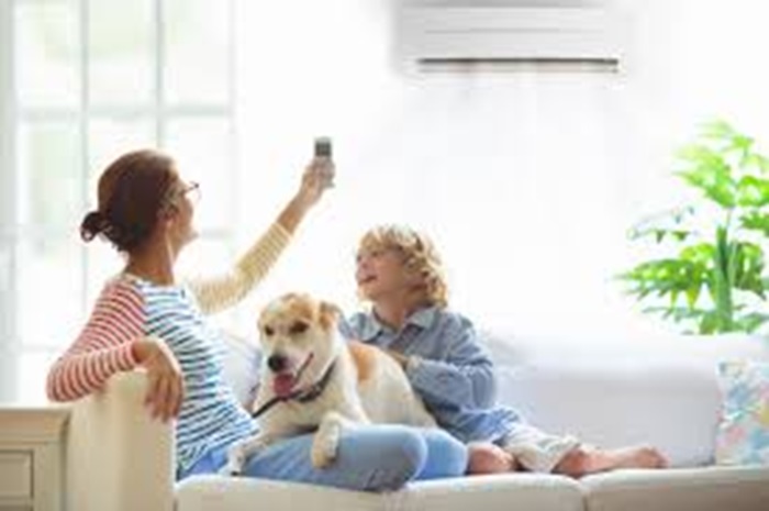 Eco-Friendly Cooling: Discover the Benefits of Ductless AC with Lee's HVAC